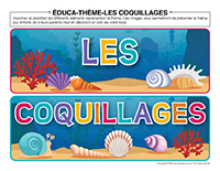 Éduca-thème-Coquillages