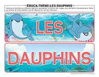 Éduca-thème-Dauphins 2023