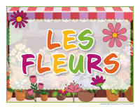 Educa-theme-Fleurs