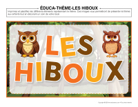 Éduca-thème-Hiboux