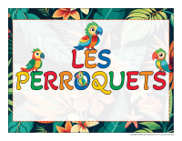 Educa-theme-Perroquets