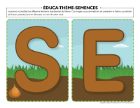 Éduca-thème-Semences