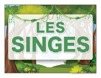 Éduca-thème-Singes-1