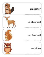 Éiquettes-mots géants-Forêt-1