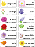 Étiquette-mots-Fleurs Étiquette-mots-Fleurs
