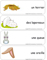 Étiquette-mots-géants - Les lapins Étiquette-mots-géants - Les lapins
