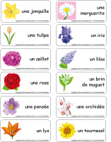 Étiquettes-mots - Les fleurs