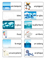 Étiquettes-mots-Animaux polaires