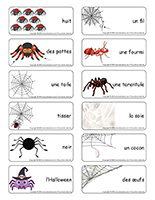 Etiquettes-mots-Araignees