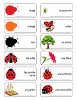 Etiquettes-mots-Coccinelles