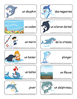 Étiquettes-mots-Dauphins