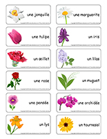 Étiquettes-mots-Fleurs lire écrire