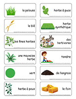Étiquettes-mots-L'herbe Étiquettes-mots-L'herbe