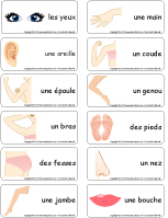 Étiquettes-mots-Le corps humain Étiquettes-mots-Le corps humain