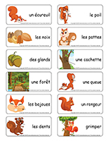 Étiquettes-mots-Les écureuils Étiquettes-mots-Les écureuils