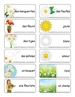 Étiquettes-mots-Marguerites