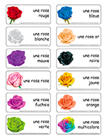 Étiquettes mots–Saint-Valentin-Les roses