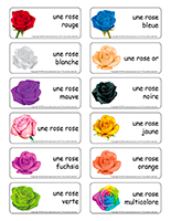 Étiquettes mots–Saint-Valentin-Les roses Étiquettes mots–Saint-Valentin-Les roses