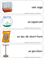 Étiquettes-mots géants - L'animalerie Étiquettes-mots géants - L'animalerie