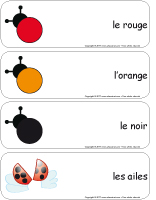 Étiquettes-mots-géants - Les coccinelles