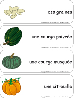 Étiquettes-mots géants - Les courges