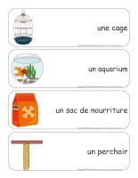 Étiquettes-mots géants-Animalerie-1