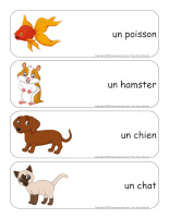 Étiquettes-mots géants-Animalerie-2