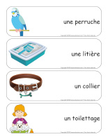 Étiquettes-mots géants-Animalerie-3