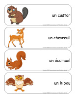 Étiquettes-mots-géants-Animaux sauvages-1
