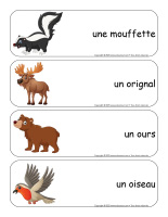 Étiquettes-mots-géants-Animaux sauvages-2