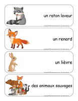 Étiquettes-mots-géants-Animaux sauvages-3