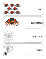 Etiquettes-mots-geants-Araignees-1