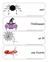 Etiquettes-mots-geants-Araignees-2