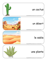 Etiquettes-mots-geants-Cactus-1