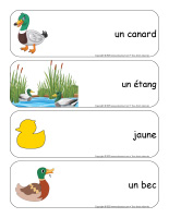 Etiquettes-mots-geants-Canards-1