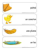 Etiquettes-mots-geants-Canards-2