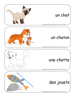 Étiquettes-mots-géants-Chats-1
