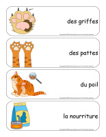 Étiquettes-mots-géants-Chats-2