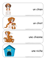 Étiquettes-mots géants-Chiens