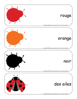 Etiquettes-mots geants-Coccinelles-1