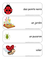 Etiquettes-mots geants-Coccinelles-2