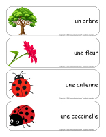Etiquettes-mots geants-Coccinelles-3