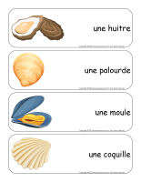 Étiquettes-mots-géants-Coquillages-1