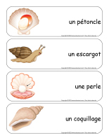 Étiquettes-mots-géants-Coquillages-2