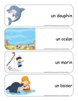 Étiquettes-mots géants-Dauphins-1