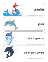 Étiquettes-mots géants-Dauphins-2