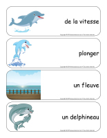 Étiquettes-mots géants-Dauphins-3