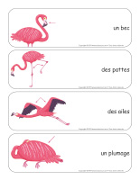 Livre de Bain Flamant Rose - Activité Ludique pour Enfants