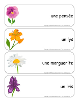 Étiquettes-mots géants-Fleurs-lecture