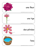 Étiquettes-mots geants-Fleurs-2026-1